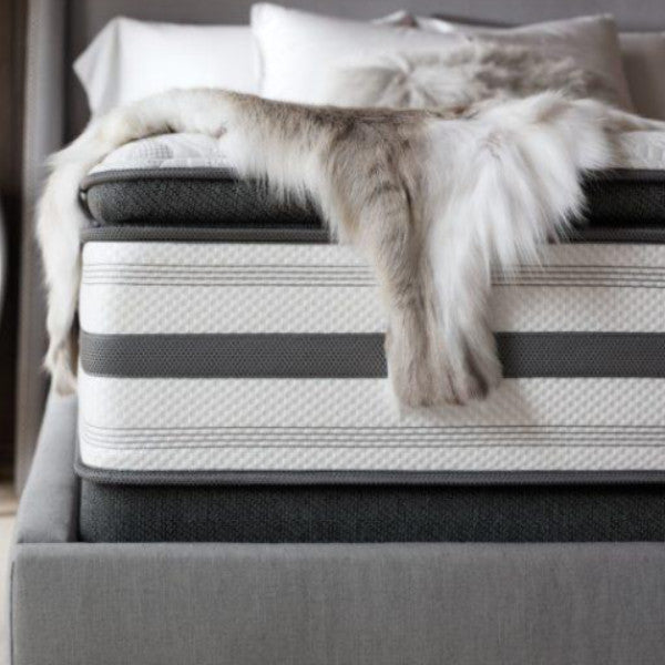 The Black Napa Pillow Top Mattress TOILE Showroom